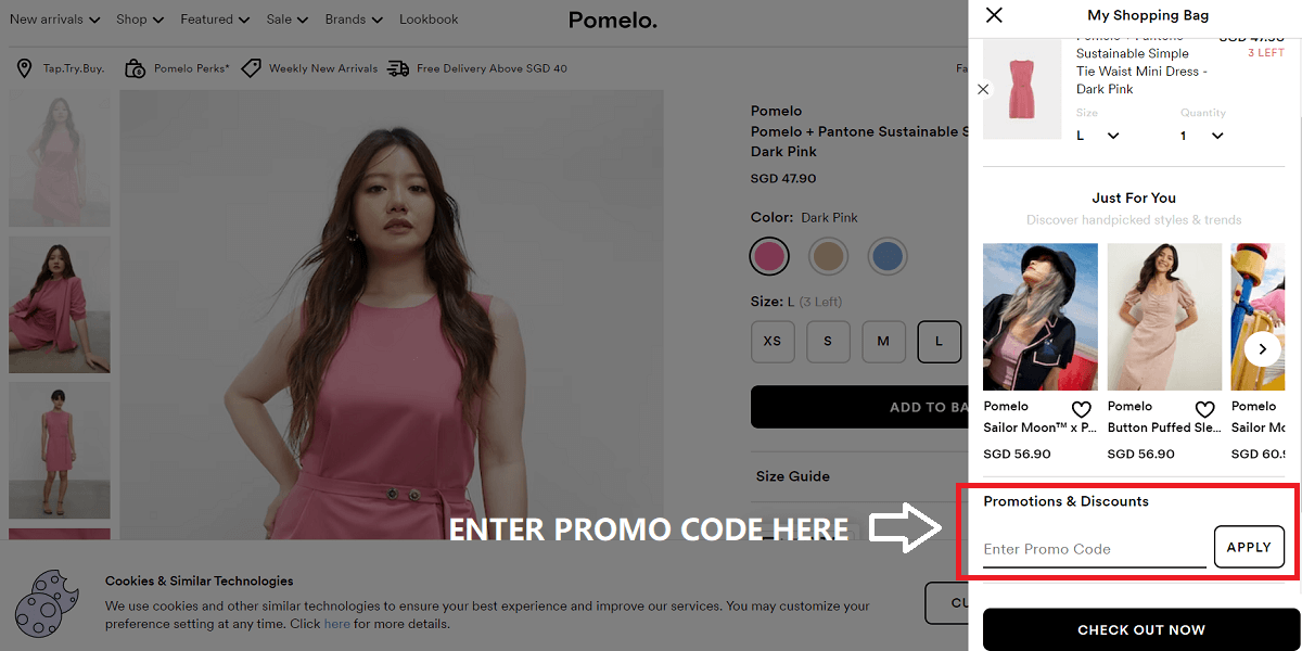 how-to-use-pomelo-promo-code-singapore